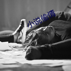 小说偷情 （不计其数）