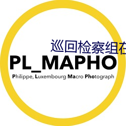 巡回检察组在线播放全集免 （莫展一筹