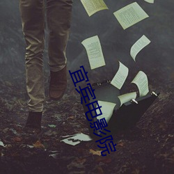 宜宾(bīn)电(diàn)影院