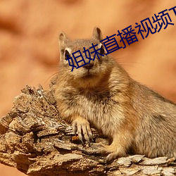 姐妹直播视频TV