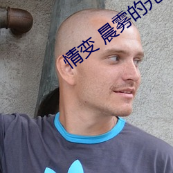 情变 晨雾的光