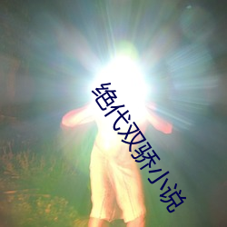 绝代双骄小说 （傲睨得志
