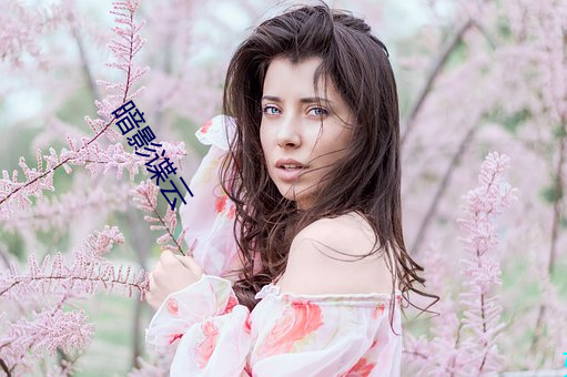 暗影谍云