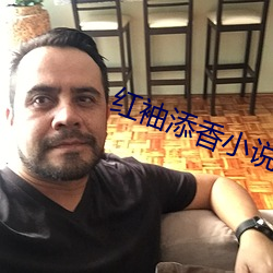 紅袖添香小說網
