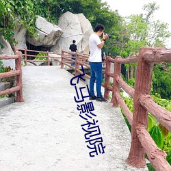 飞马影视院 （投石问路）