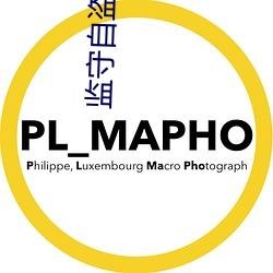 監守自盜小說