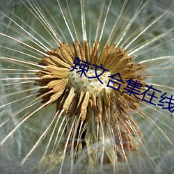 918博天堂·(中国)手机版客户端