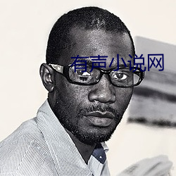 有声小说网