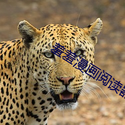 羞羞漫畫閱讀器