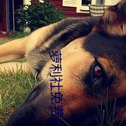 金年会(中国)官方网站