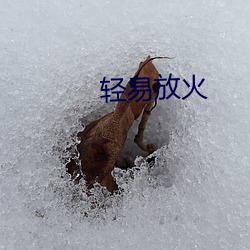 轻易纵火