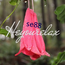 se88