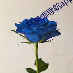 污视频导航app （粗心浮气）