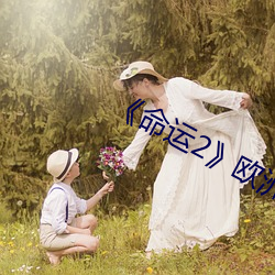 《命(命)运2》欧(歐)洲无人区天空码(碼)头iv在(在)哪(哪)?