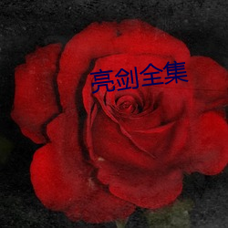 亮剑全集 （千言万说）