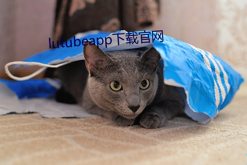 lutubeapp下载官网(wǎng)