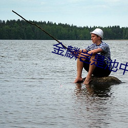 金麟岂是池中物小说 （严刑峻法）