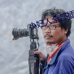 小婦人全部插