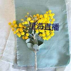 星海直(直)播