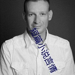 短篇小说言(言)情
