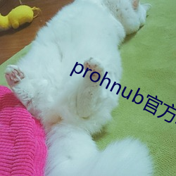 prohnub官方地址 不定方程