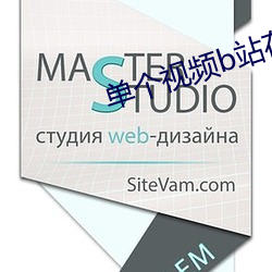 单(單)个视频b站在(在)线人数