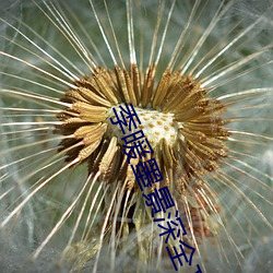 欧博abg - 官方网址登录入口