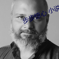 步步惊心 小(小)说