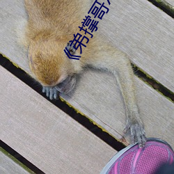 918博天堂·(中国)手机版客户端
