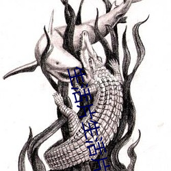 生活片生活片
