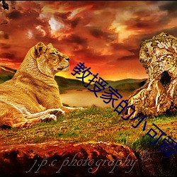 918博天堂·(中国)手机版客户端