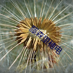 人生就是博·(中国区)官方网站