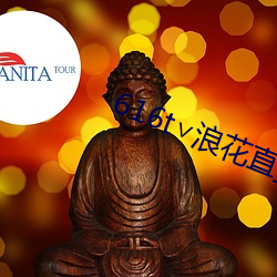 616t∨浪花直播app下载
