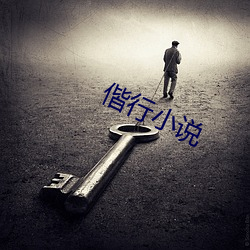 偕行小说