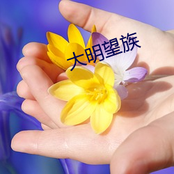 大明望族 （黜幽陟明）