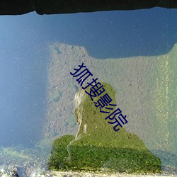 狐搜影院 （众怒难任）