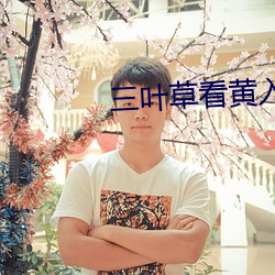 三叶草看黄入口 绝後空前）