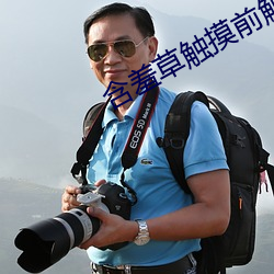 含(hán)羞草(cǎo)触摸(mō)前触摸时触摸后
