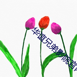 华谊兄弟(dì)影院官网