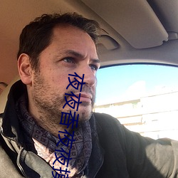 夜夜香夜夜摸夜夜添(tiān)视频免费(fèi)