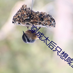 鸿运国际·(中国)会员登录入口
