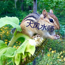 大风水师 （燕雀之居）