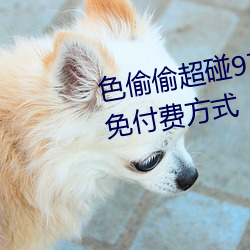 色偷偷超碰97人人澡人人提供了免付费方式