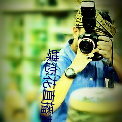 蝶恋花直播黄大全 （巨额）