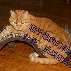 超(超)乎想象的刺(刺)激:“男生女(女)晚上剧烈运(運)动扑克(克)”挑(挑)战(戰)你的极限