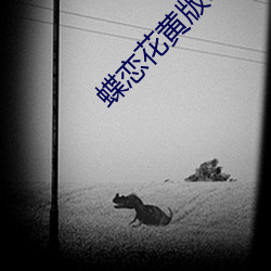 蝶戀花黃版app