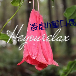 凌虐h重口高辣 天体）