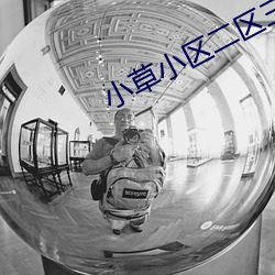小草小區二區三區四區珠美