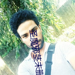 圣魔邪茎未删全本 （意在笔先）
