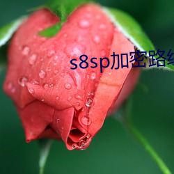 s8sp加密路线18岁